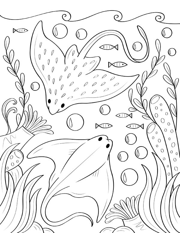 Free printable stingray coloring page download it at httpsmuseprintablesdownloadcoloring