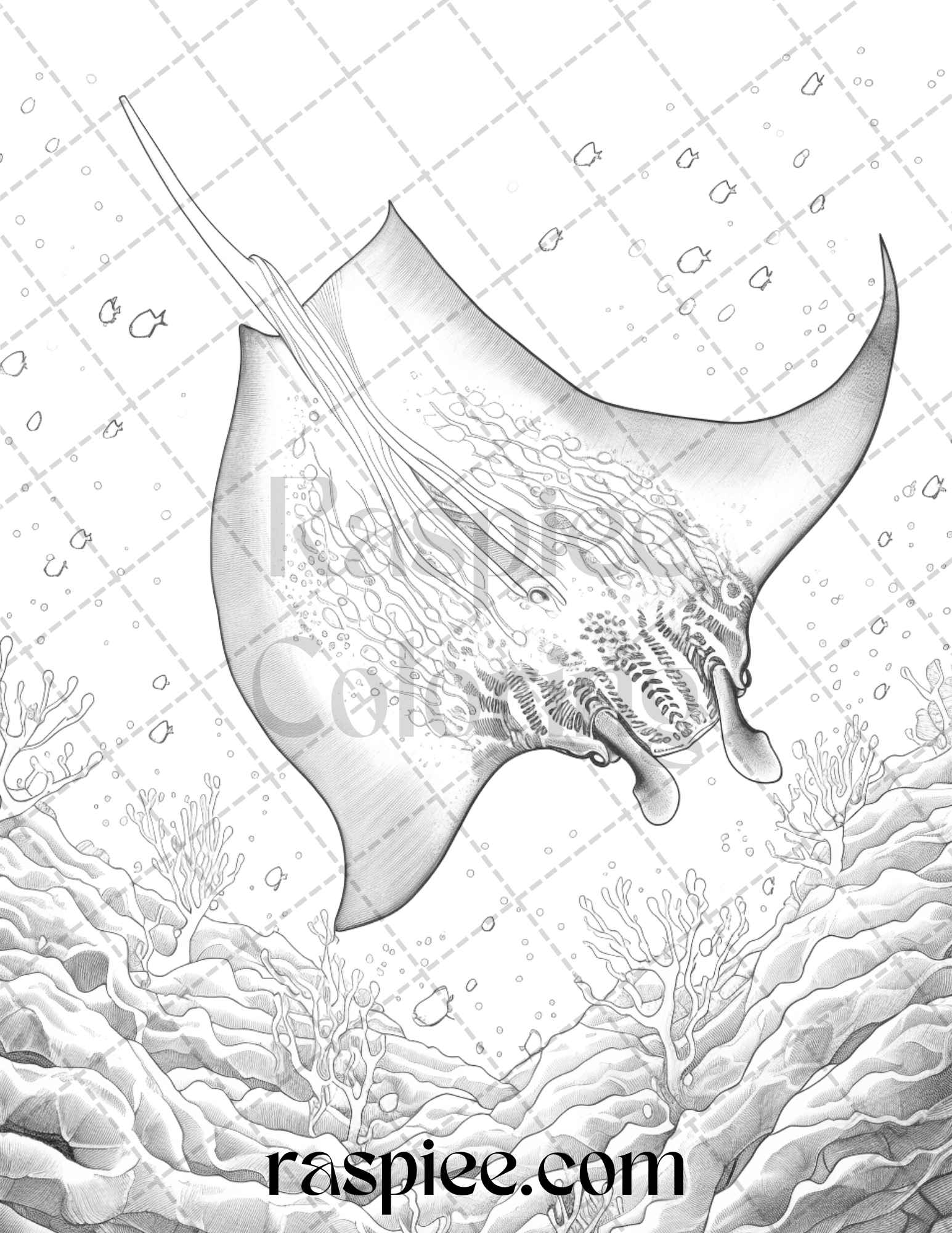 Ocean life grayscale coloring pages printable for adults relaxation an â coloring