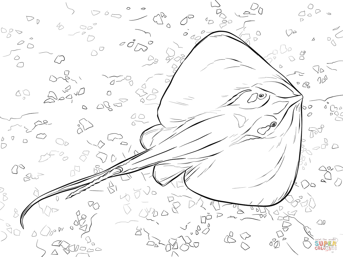 Mon stingray coloring page free printable coloring pages