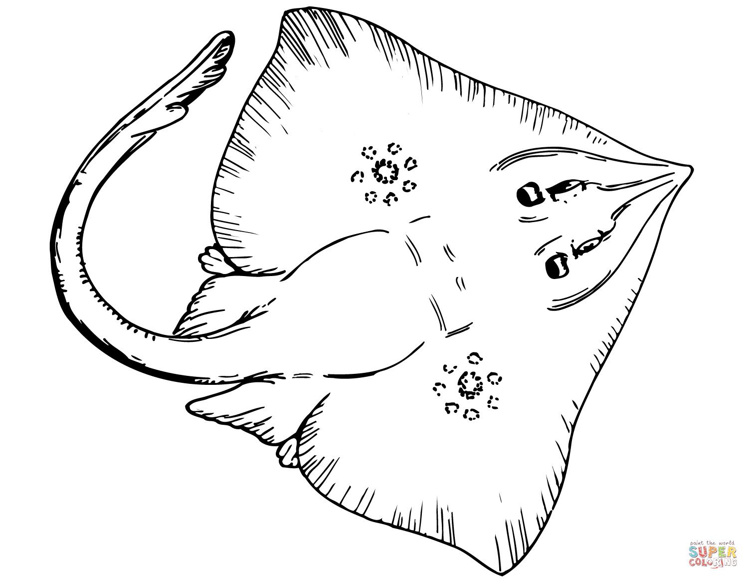 Stingray coloring page free printable coloring pages