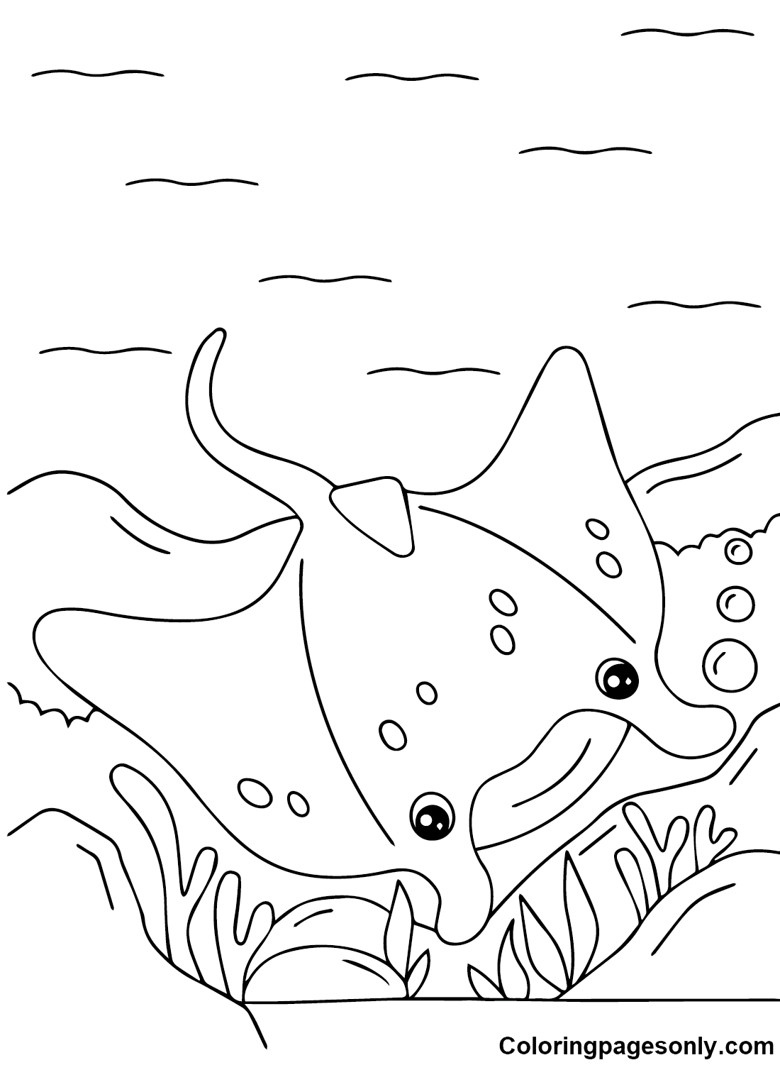 Stingray coloring pages printable for free download