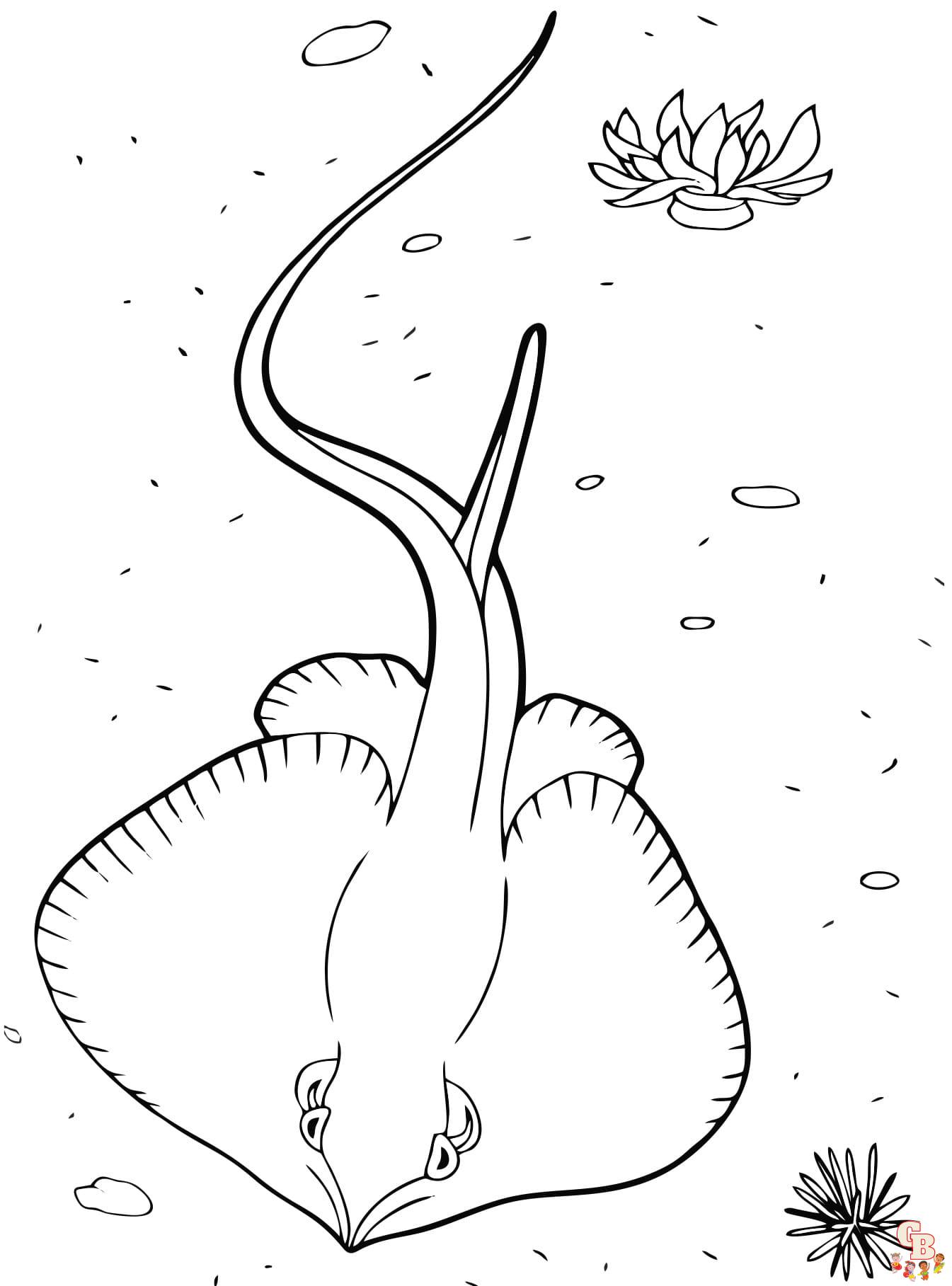 Printable stingrays coloring pages free for kids and adults