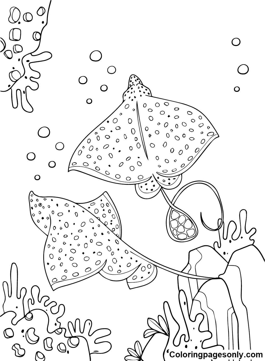 Stingray coloring pages printable for free download