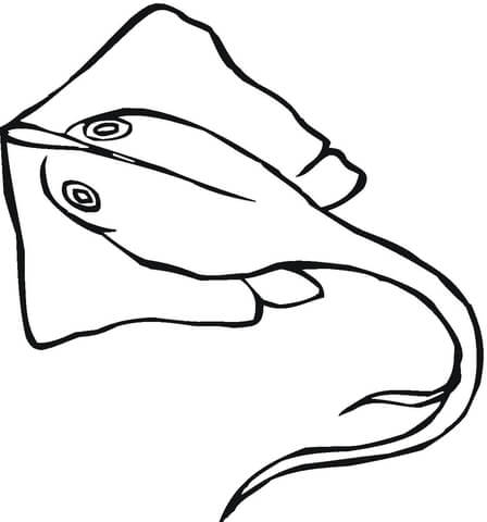 Stingray coloring page free printable coloring pages