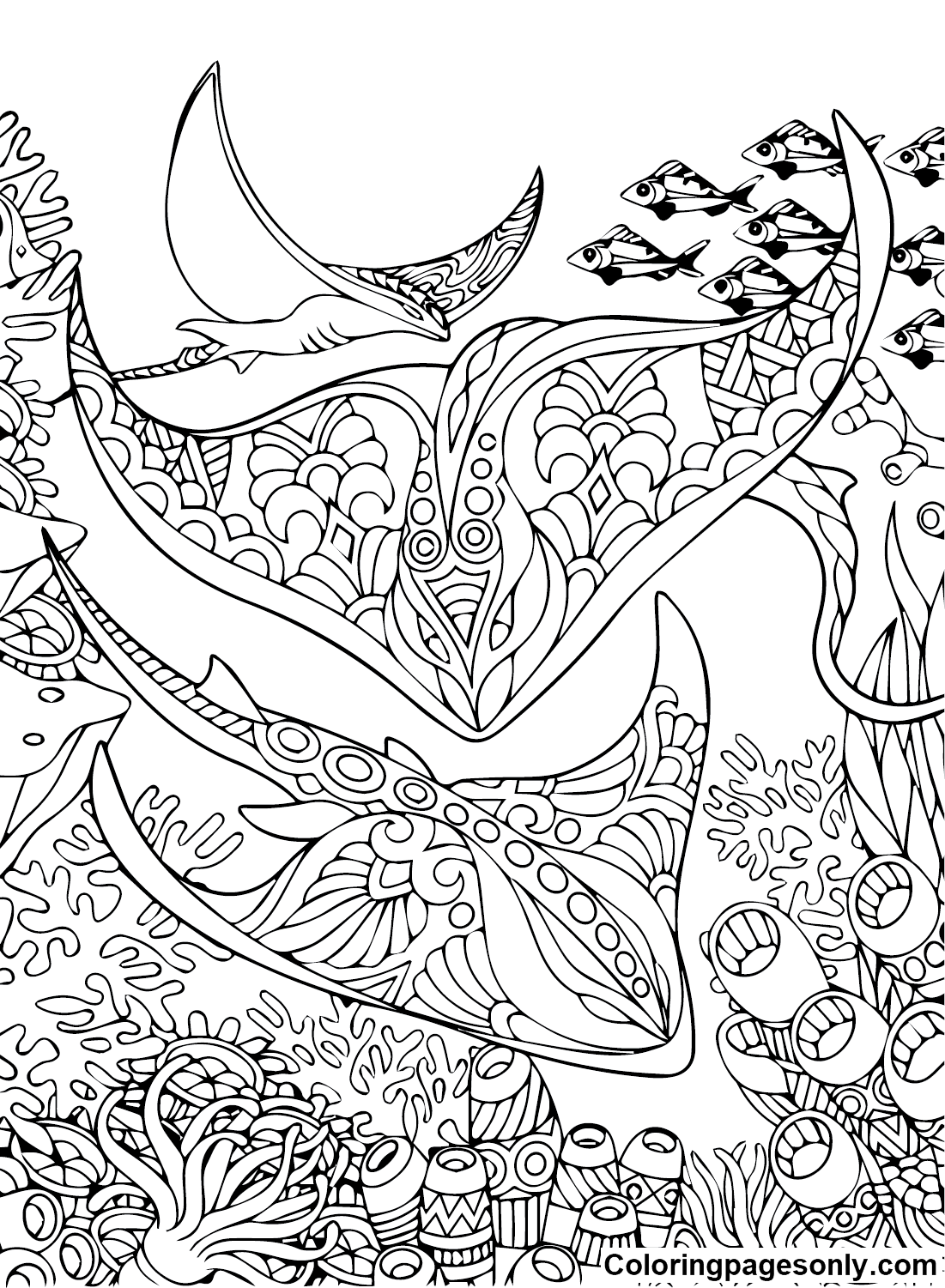 Stingray coloring pages printable for free download