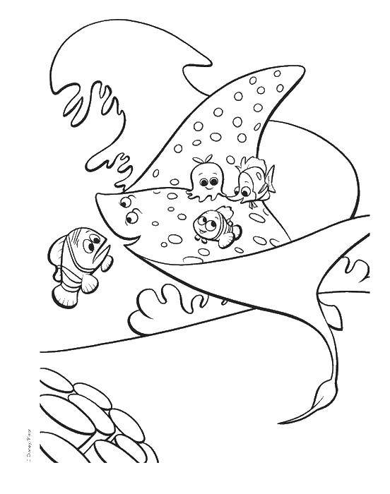 Online coloring pages coloring page stingray and fish coloring download print coloring page