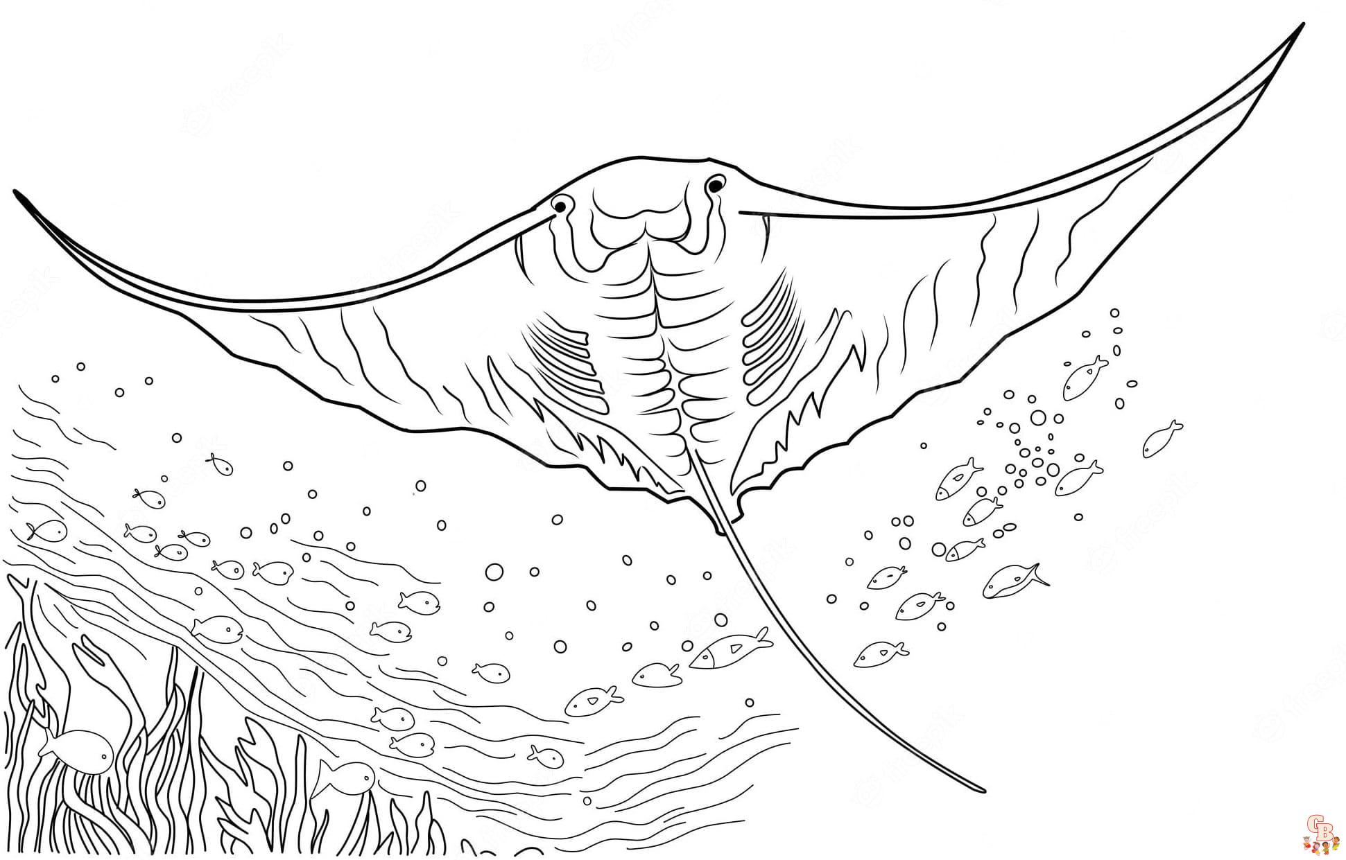 Printable stingrays coloring pages free for kids and adults