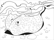 Stingray coloring page free printable coloring pages