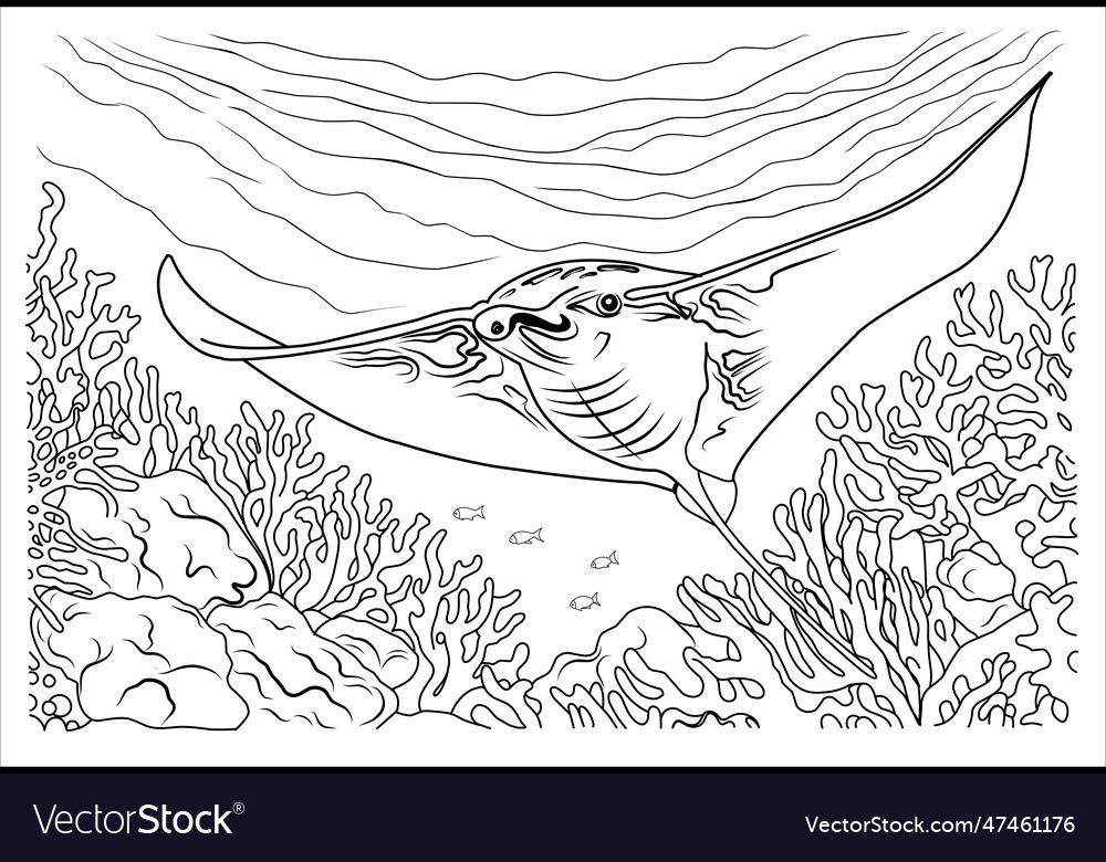 Deep sea manta ray coloring page cartoon stingray vector image