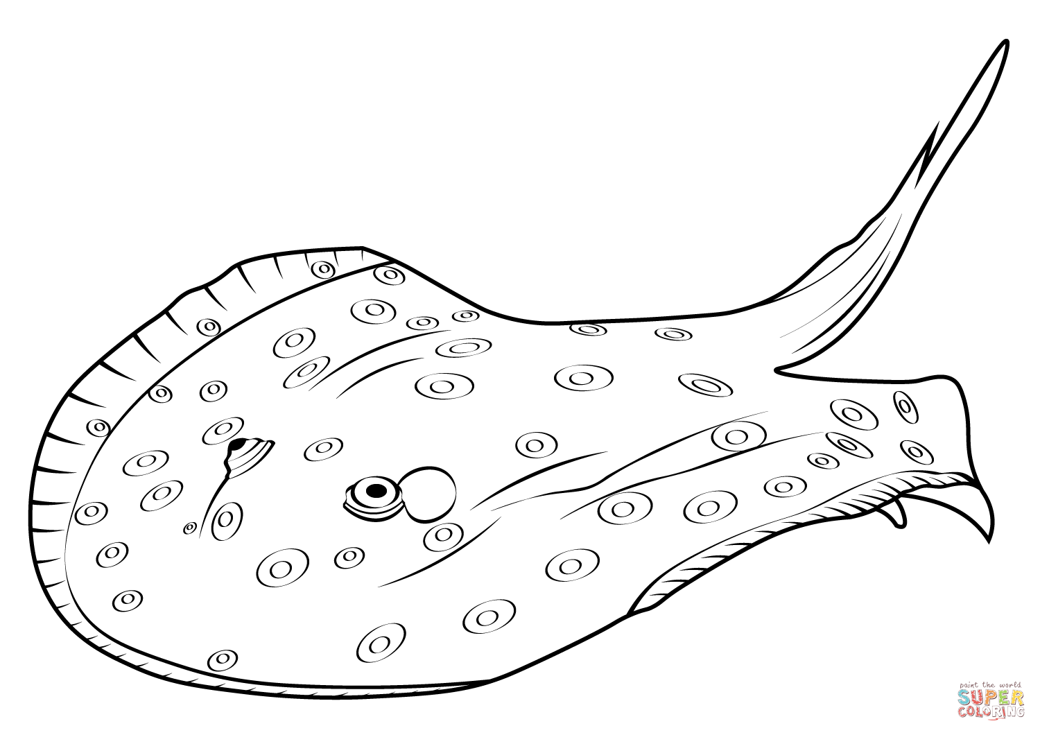 Ocellate river stingray potamotrygon motoro coloring page free printable coloring pages