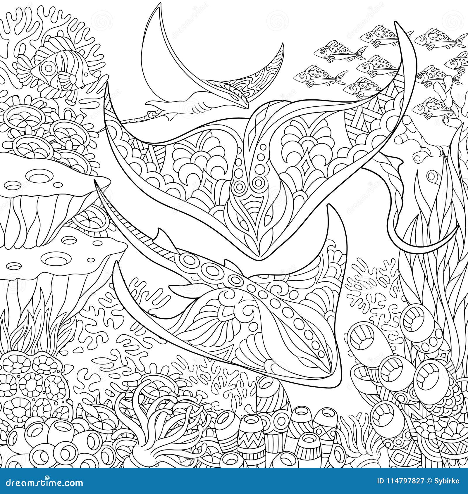 Stingray outline stock illustrations â stingray outline stock illustrations vectors clipart