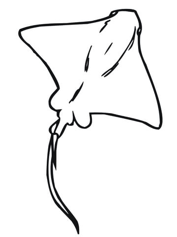 Whiptail stingray coloring page free printable coloring pages