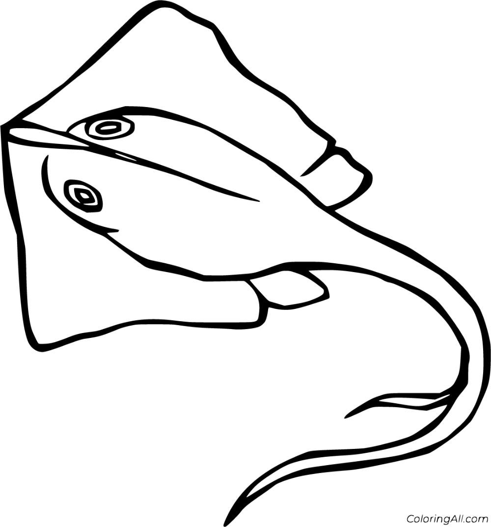 Colorful stingray coloring pages