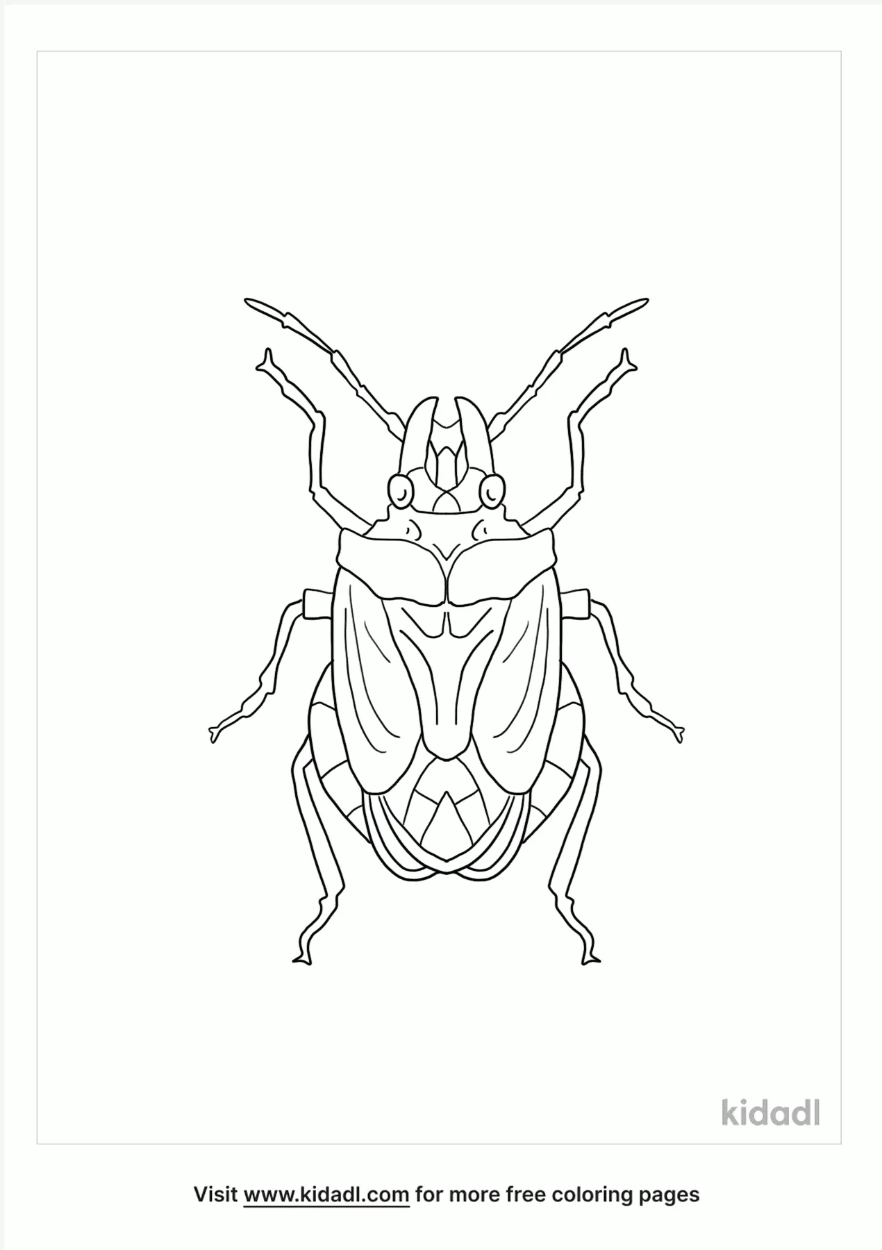 Free brown marmorated stink bug coloring page coloring page printables