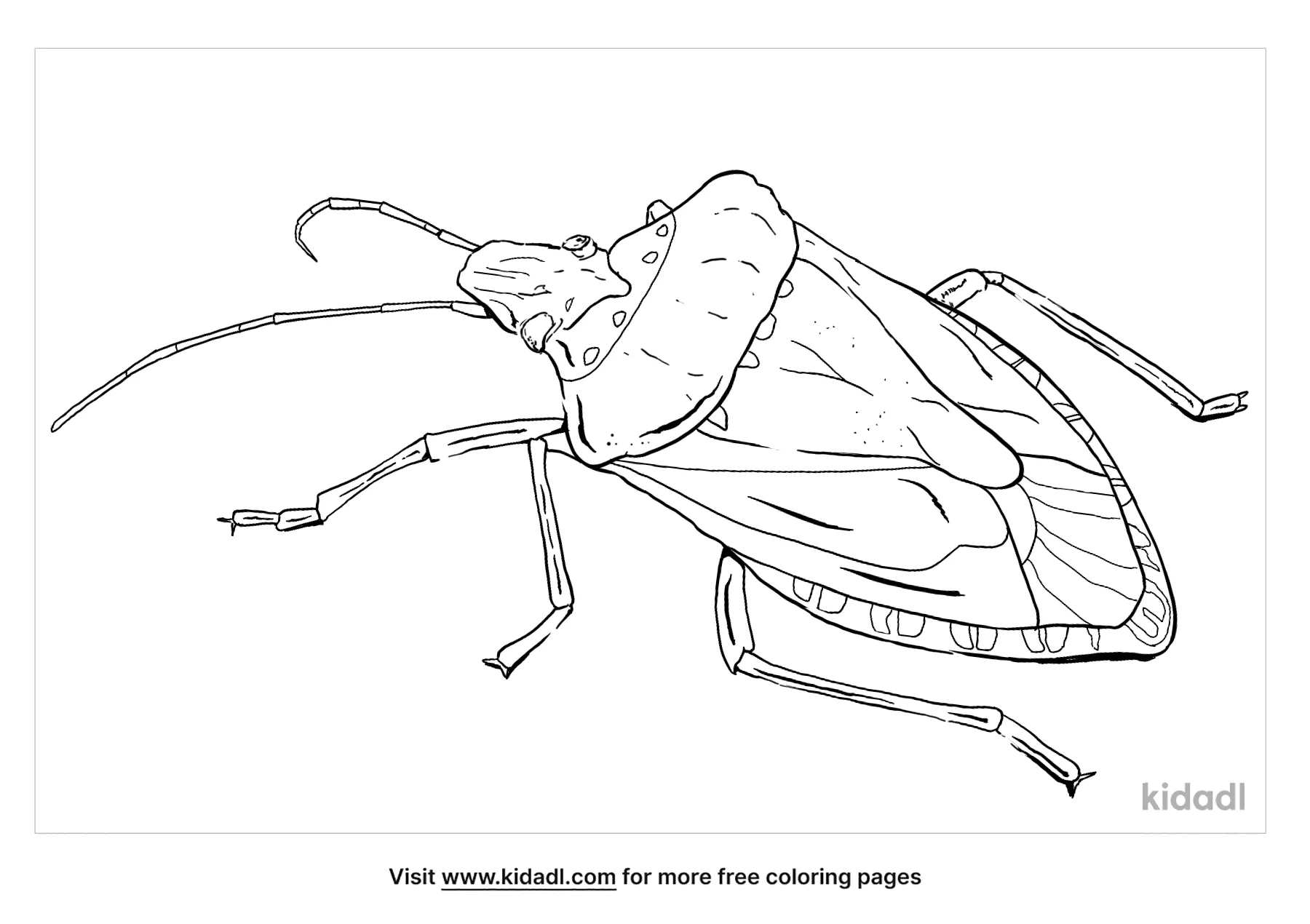 Free stink bug coloring page coloring page printables