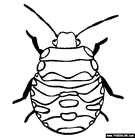 Stink bug coloring page free stink bug online coloring