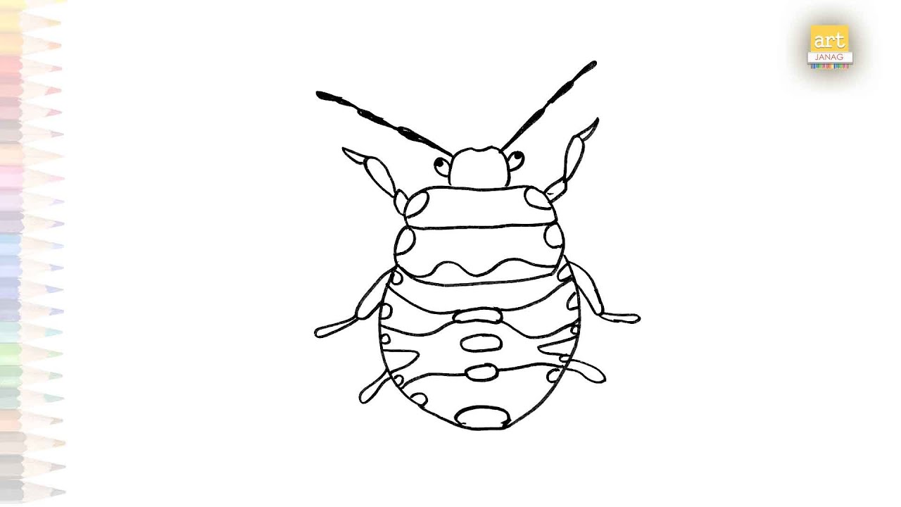 Stink bug drawing insect drawings easy how to draw a stink bug step by step
