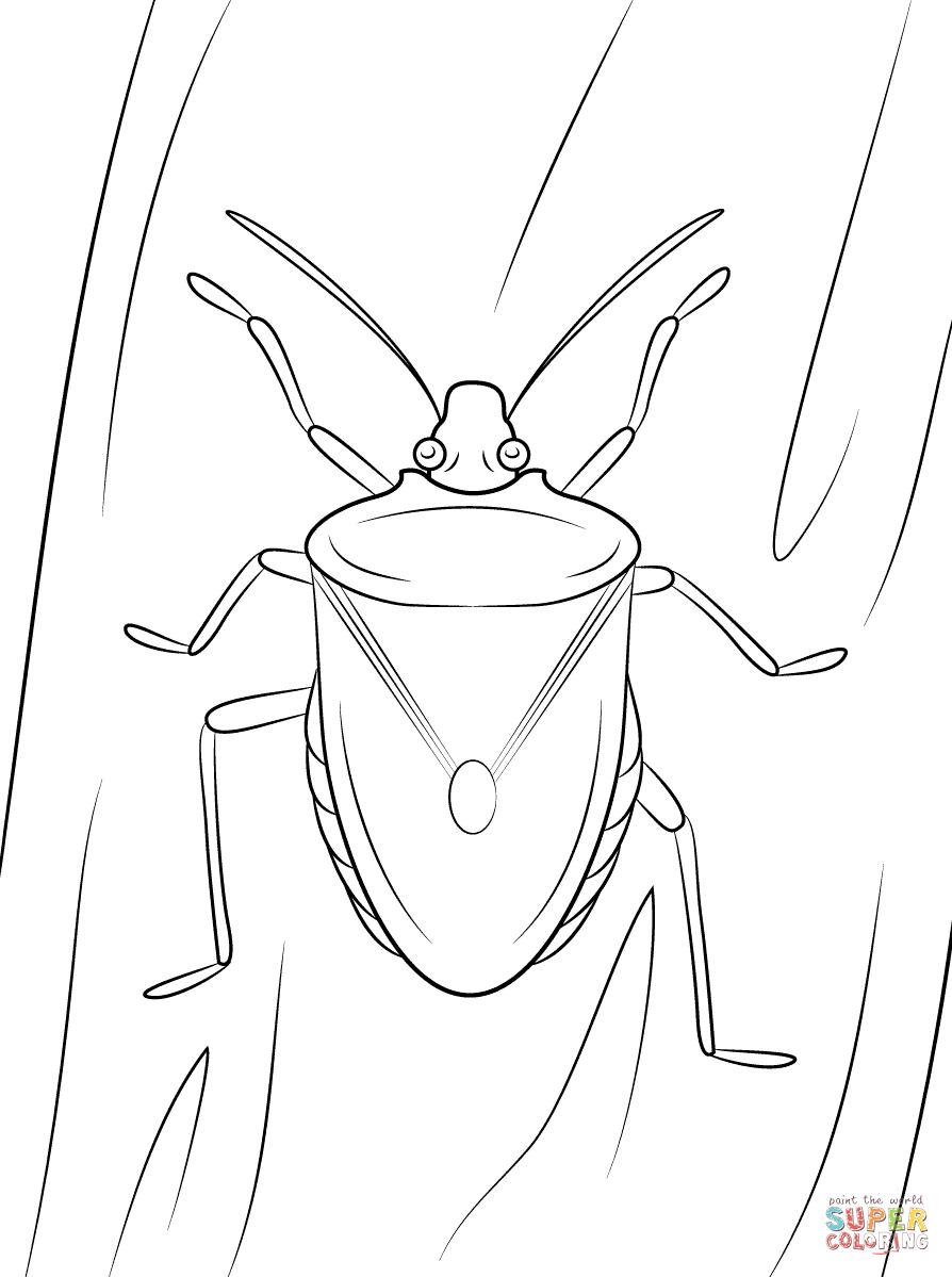 Brown marmorated stink bug coloring page free printable coloring pages