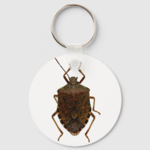 Best stink bug gift ideas