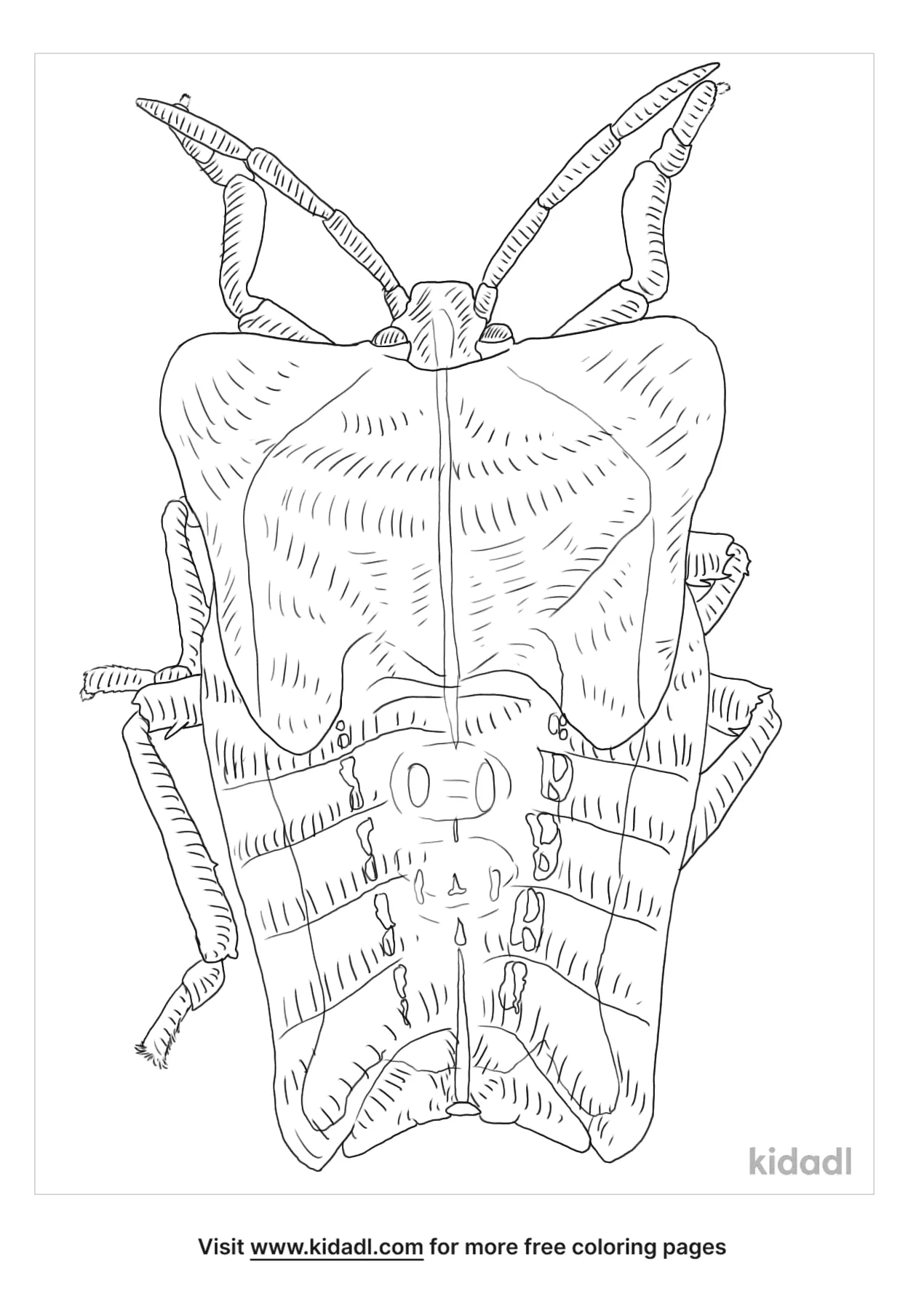 Free lychee stink bug coloring page coloring page printables