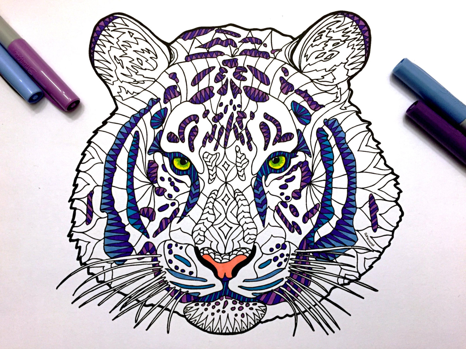 Tiger â pdf zentangle coloring page â scribble stitch