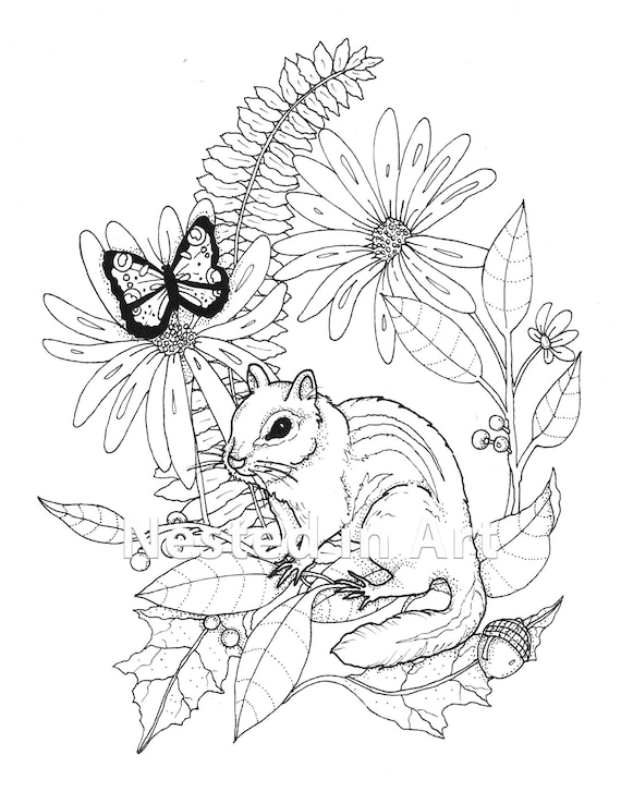 Adult coloring page chipmunk and butterfly digital download punch needle pattern