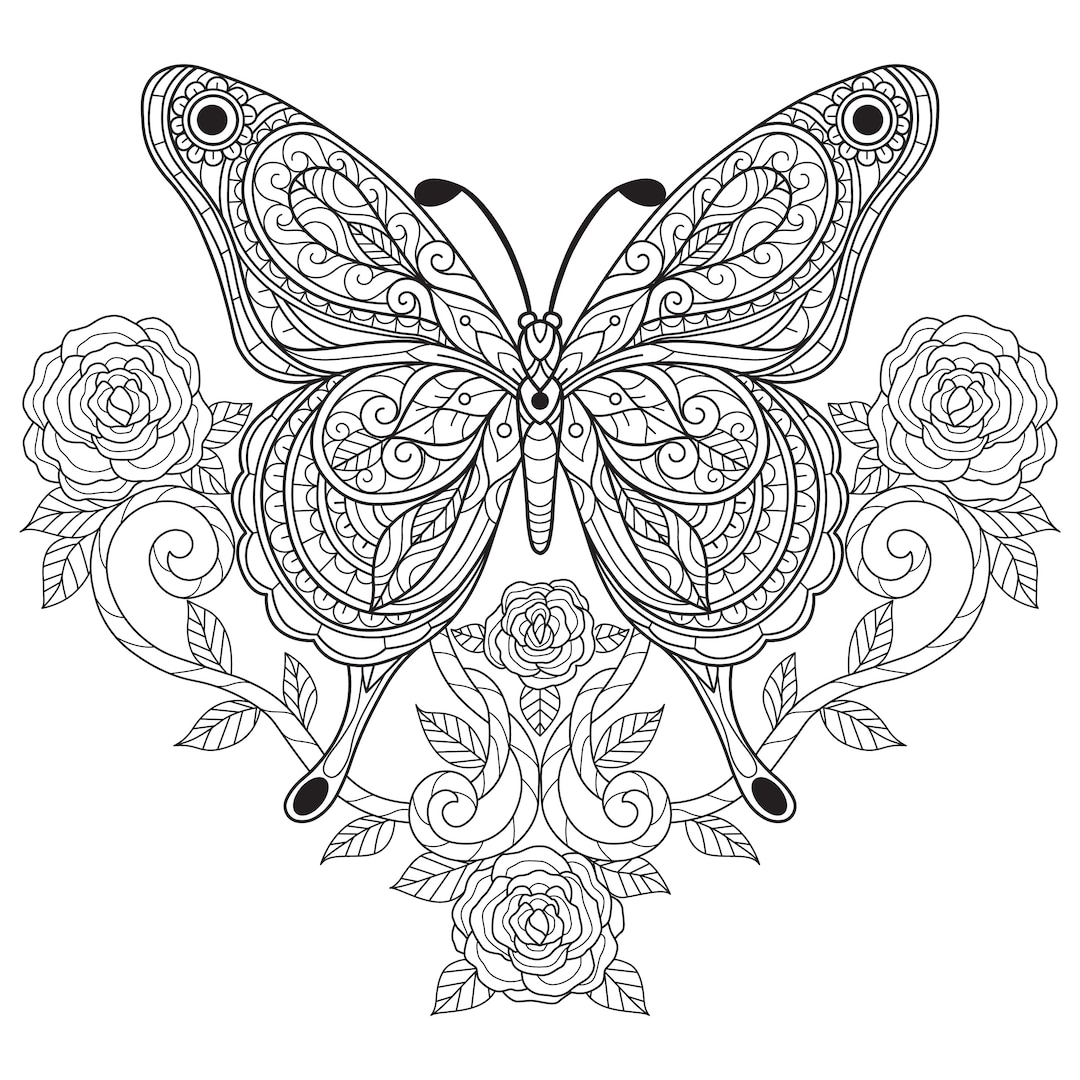 Digital printable beautiful butterfly coloring pages easy difficulty details pages