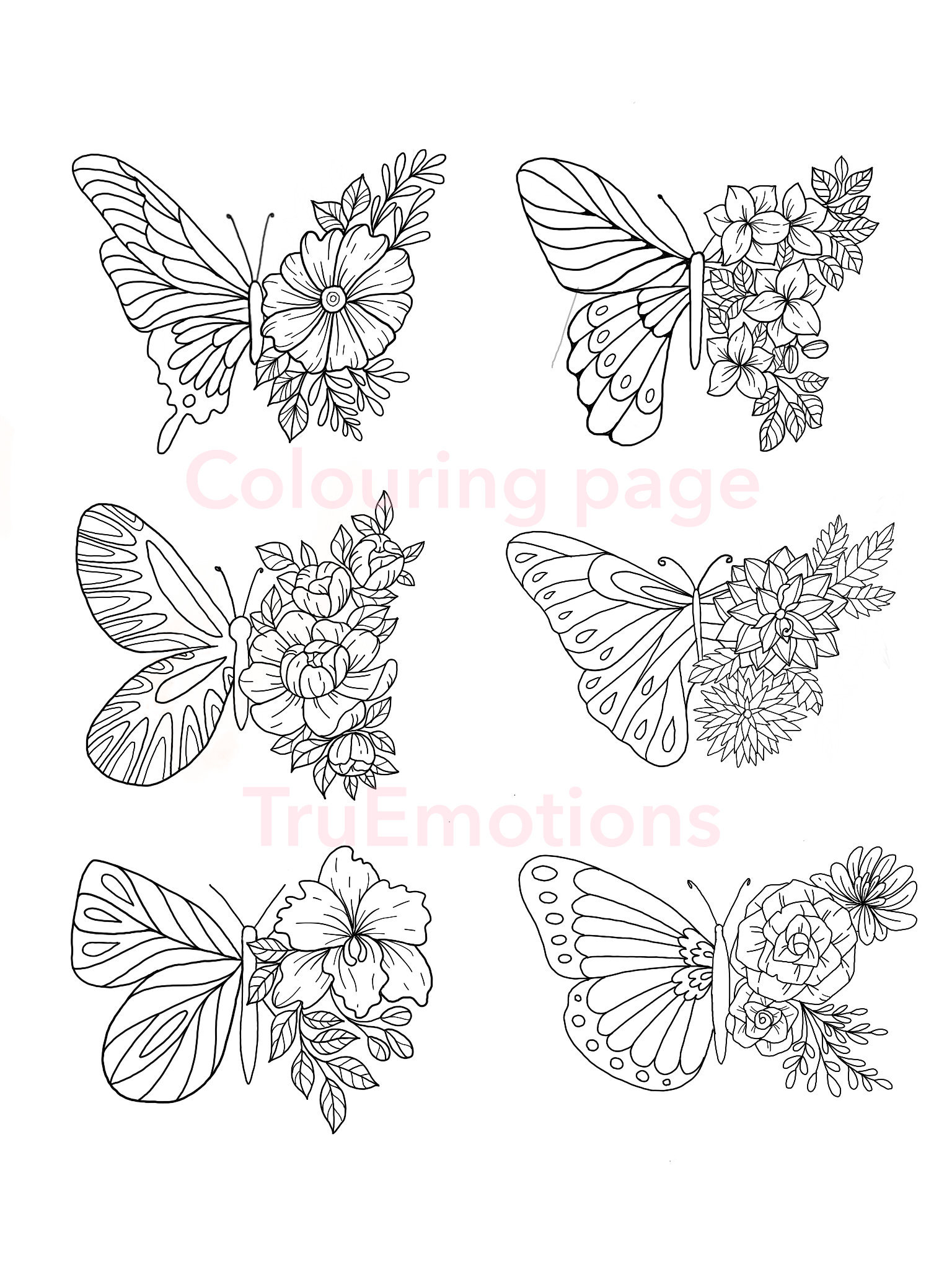 Colouring pages set of pages printable flowers butterfly drawing adult coloring at home activity download now