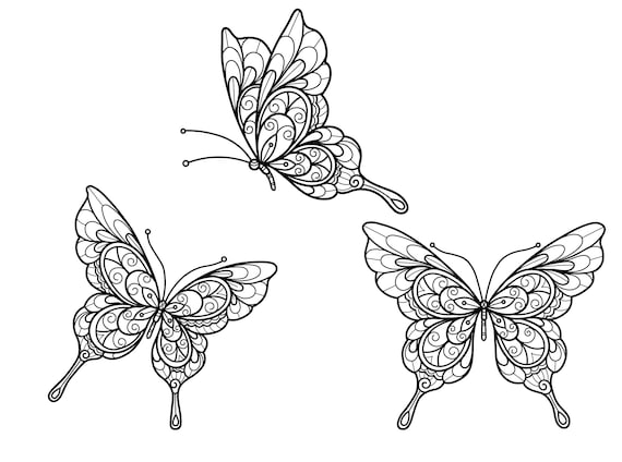 Digital printable beautiful butterfly coloring pages easy difficulty details pages