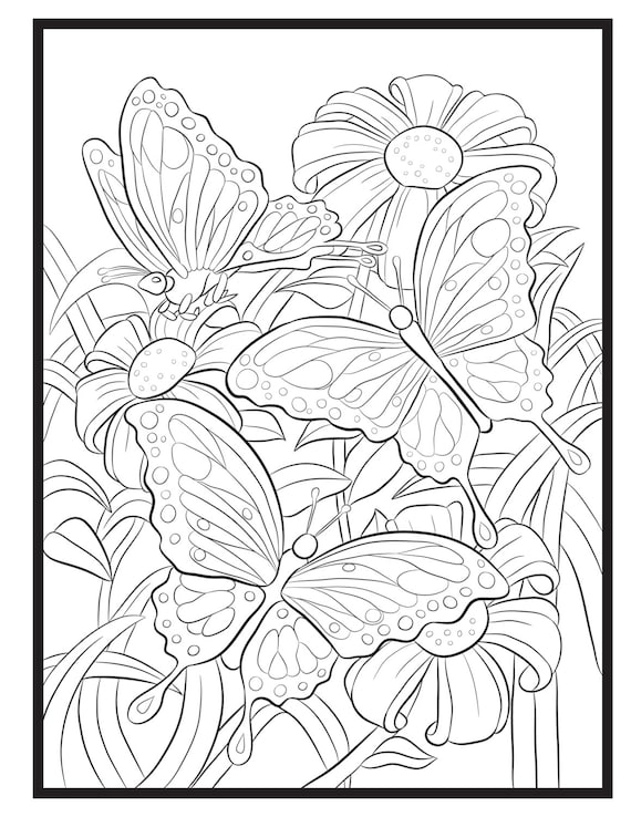 Butterflies single coloring page