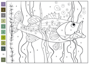 Fish color by number coloring pages free coloring pages