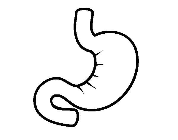 Stomach black and white coloring pages