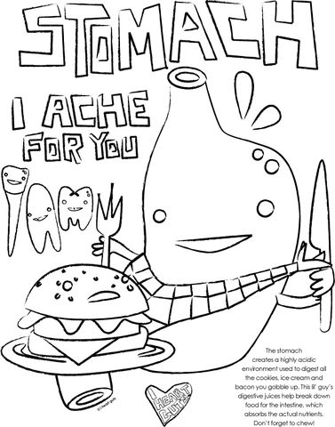 Stomach coloring page human body activities human body systems human body unit