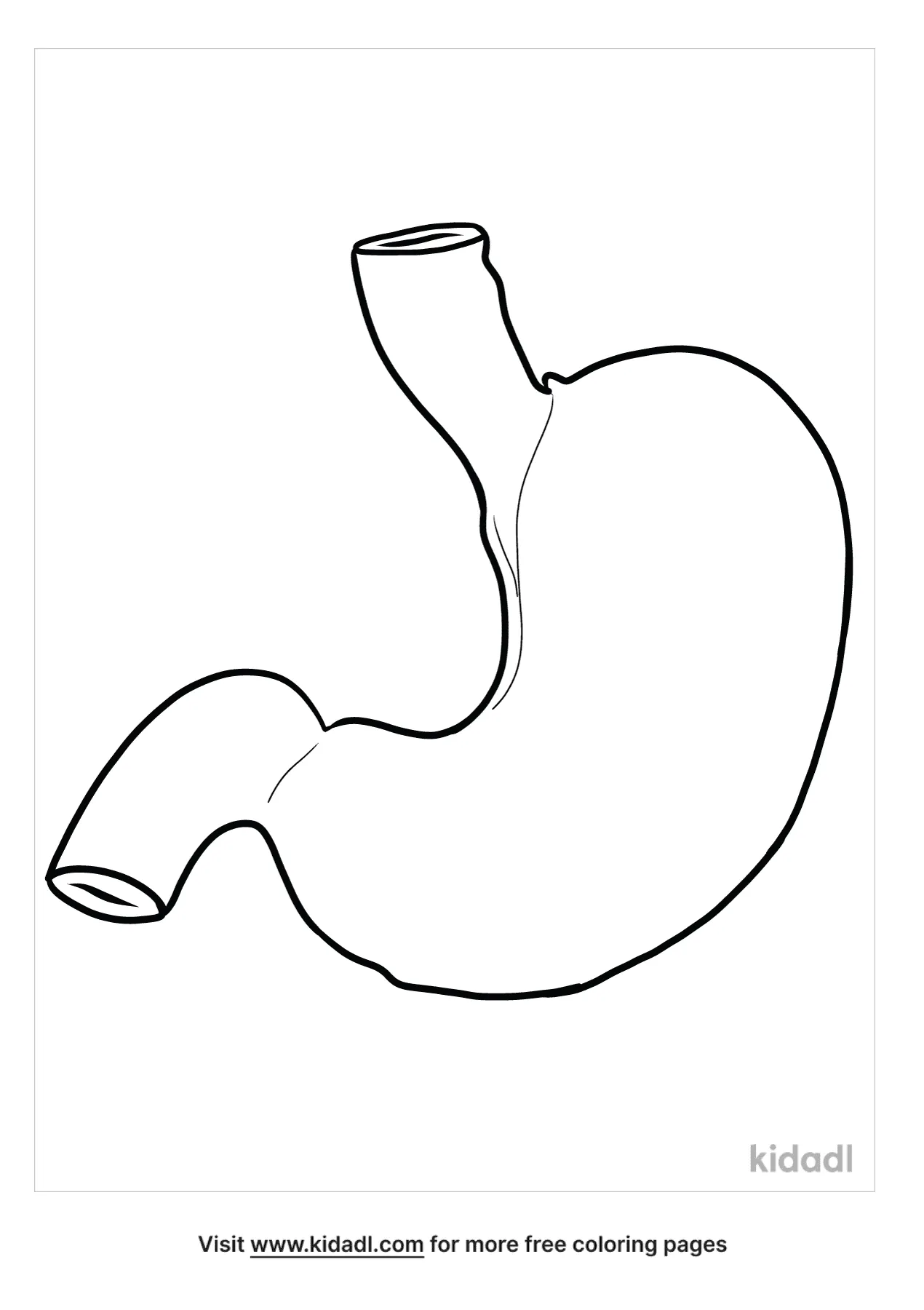 Free human stomach coloring page coloring page printables