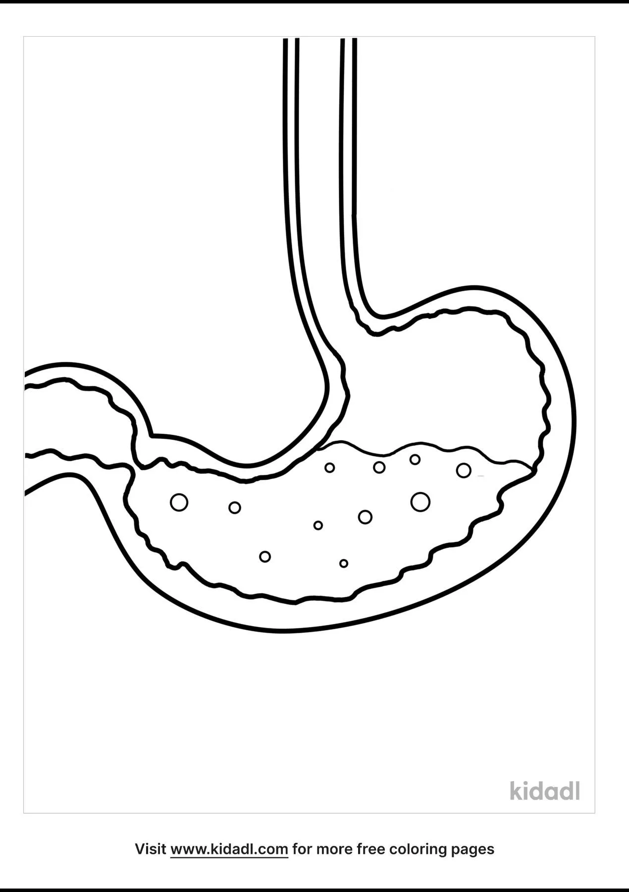 Free stomach coloring page coloring page printables