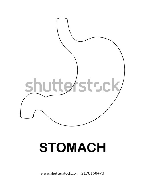 Coloring page stomach kids stock vector royalty free