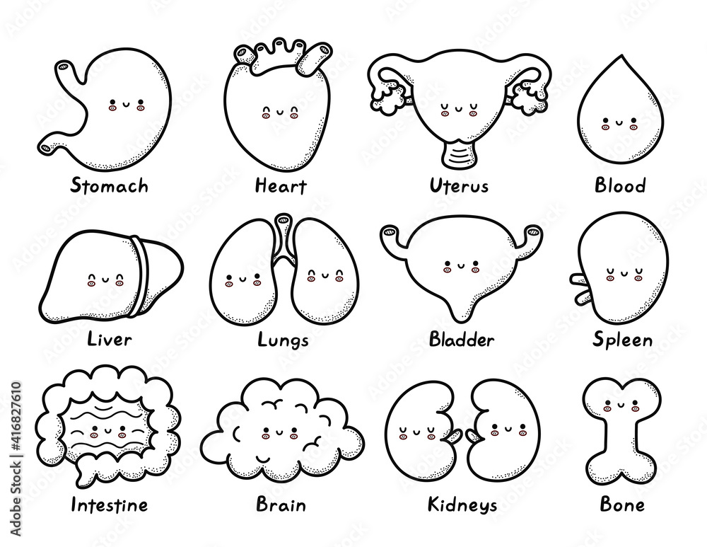 Vecteur cute healthy human organs character coloring page outline vector line cartoon kawaii character illustration icon bonestomachheartuterusbloodliverlungsbladderspleeintestinekidneys