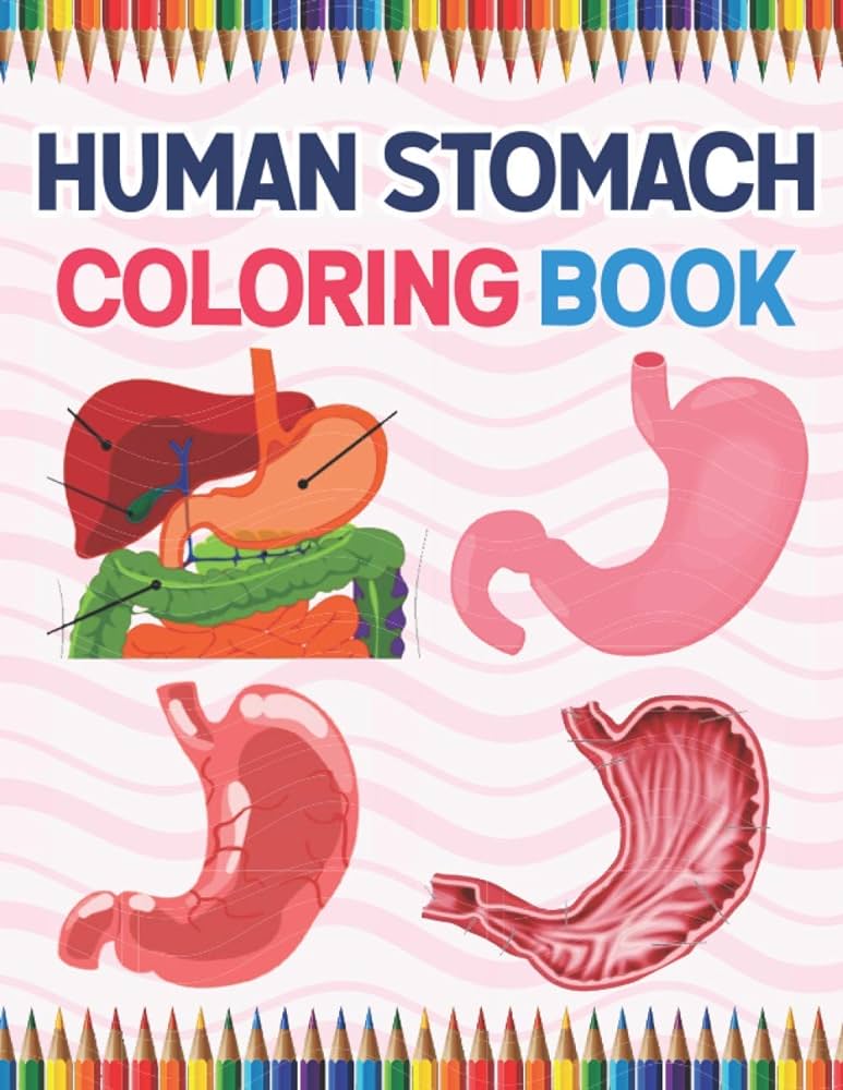 Human stomach coloring book by publition ramkeylone