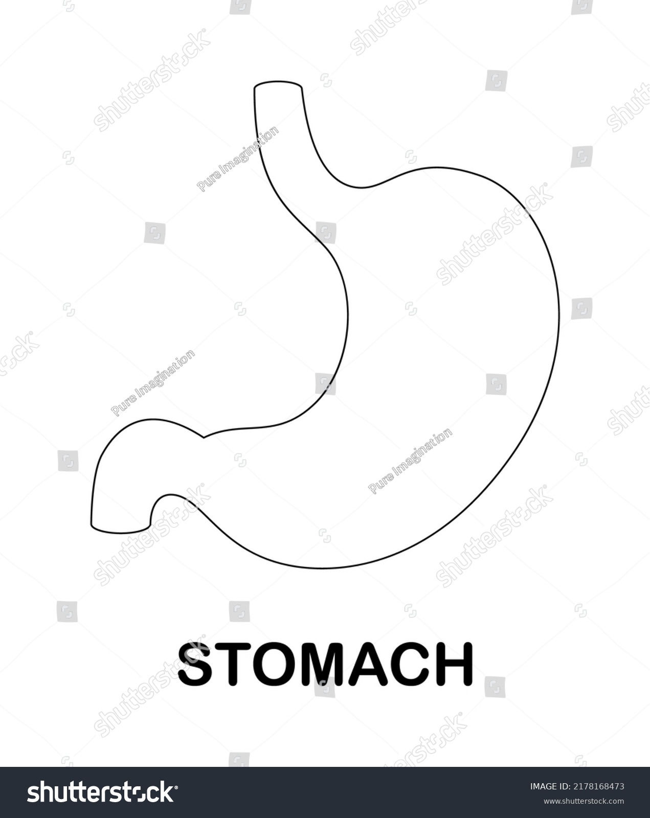 Coloring page stomach kids stock vector royalty free