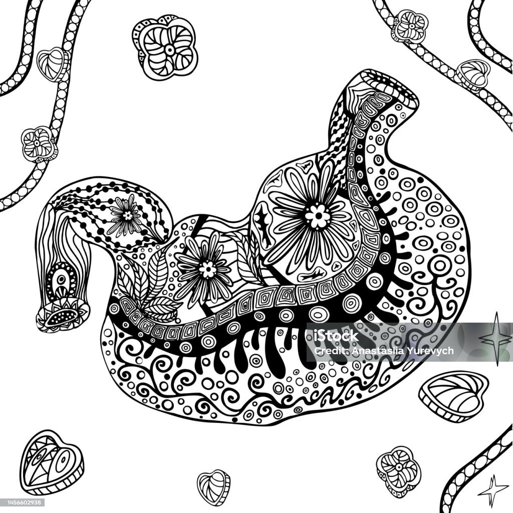 Vector illustration of a human stomach colouring book for adults antistress stylised illustration of black and white human stomach internal organs stock illustration