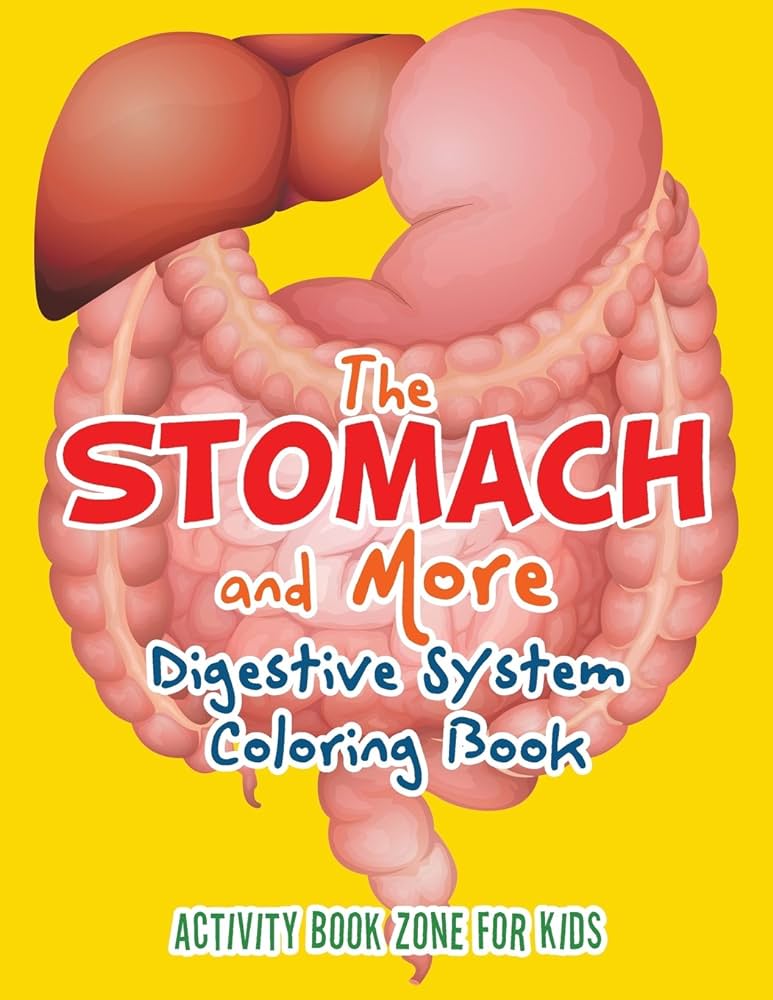 The stomach and more digestive system coloring book for kids activity book zone books