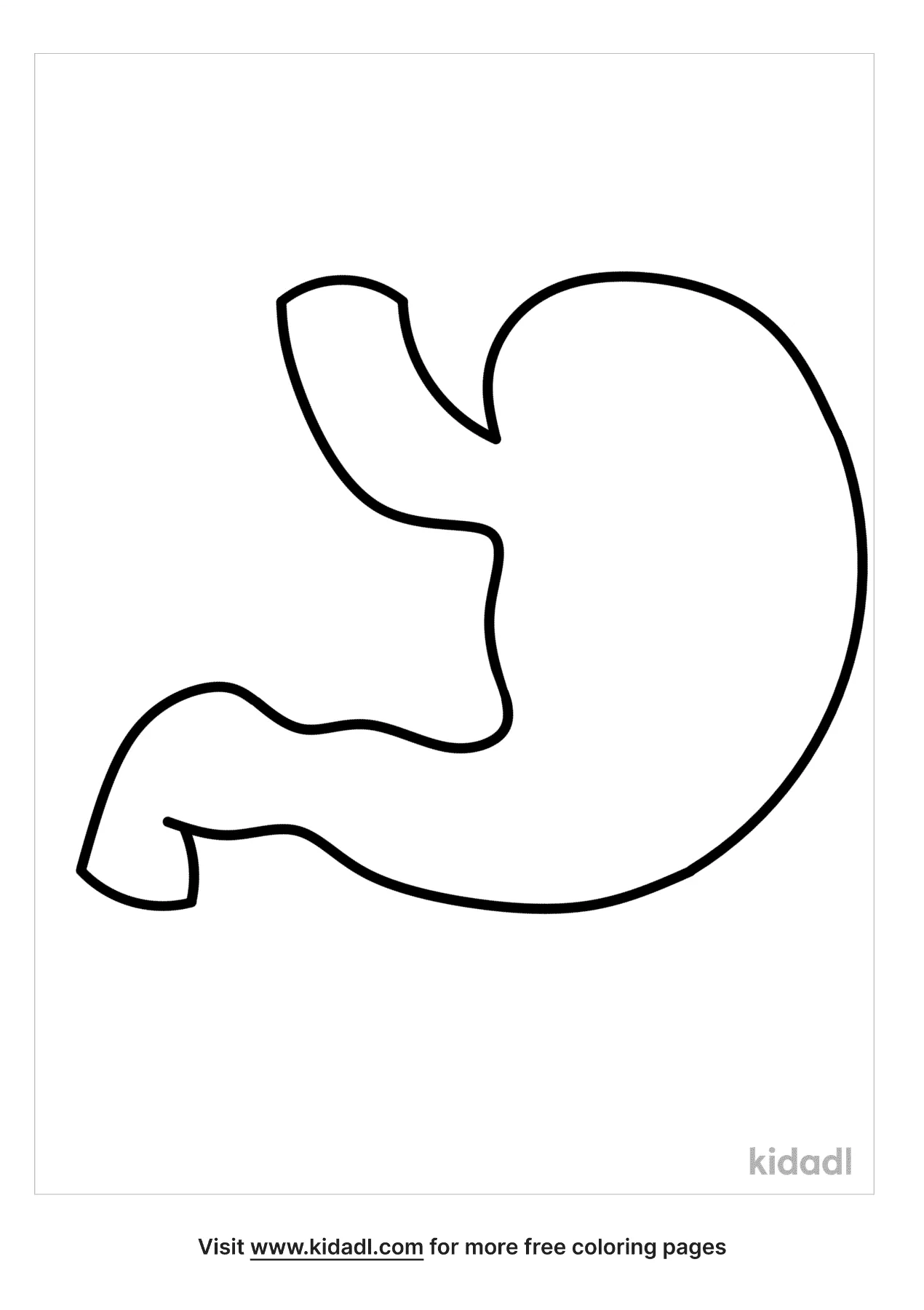 Free stomach coloring page coloring page printables