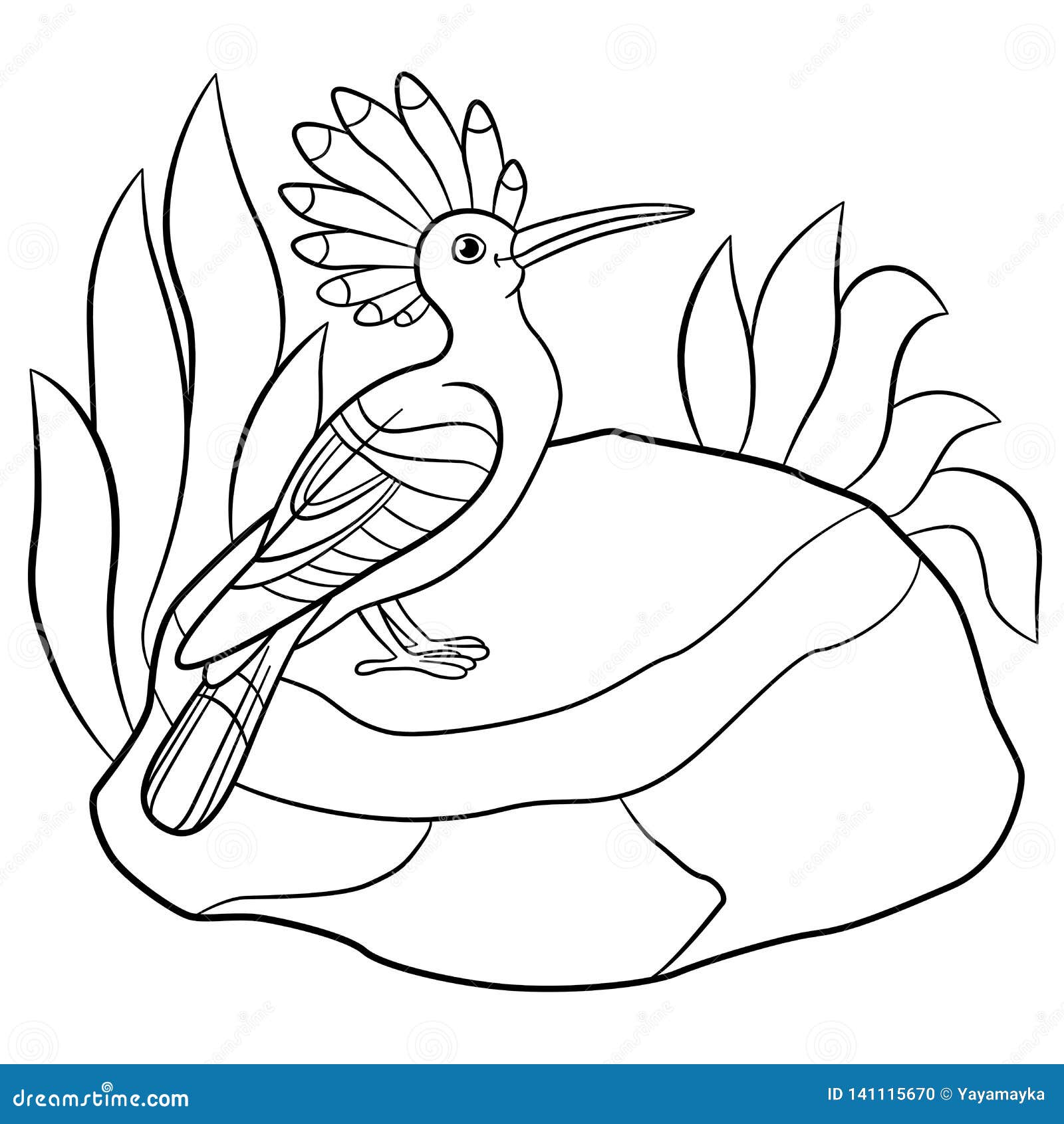 Coloring pages cute beautiful hoopoe sits on the stone stock vector