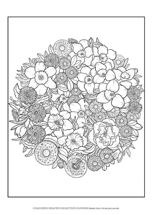 Free colouring pages from colouring heaven colouring heaven