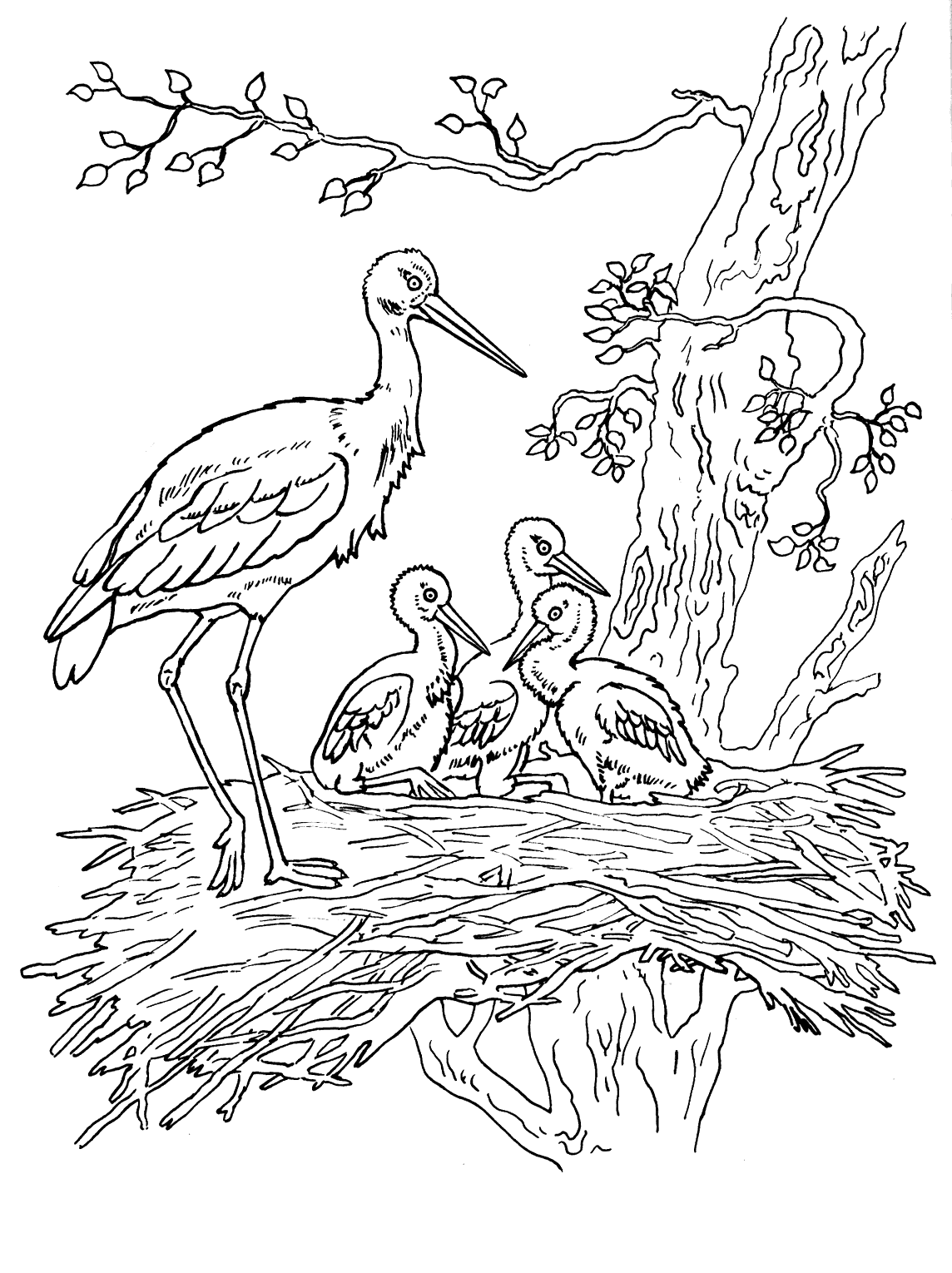 Coloring page