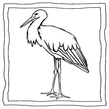 Stork coloring book stork coloring pages by abdell hida tpt