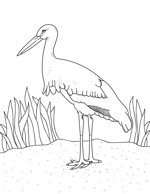 Printable stork coloring page