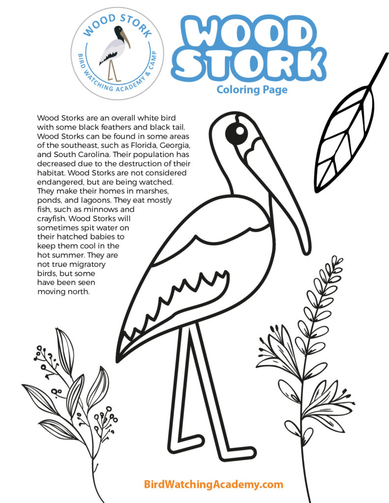 Wood stork coloring page