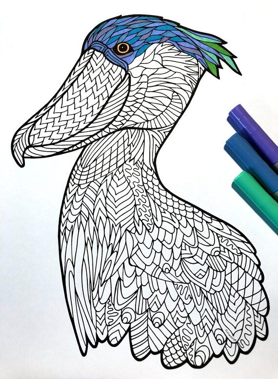 Shoebill stork pdf animal coloring page