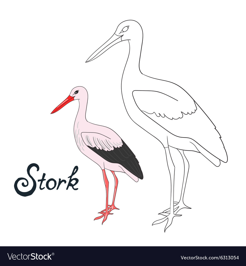 Educational game coloring book stork bird vector image